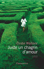 Couverture du livre Juste un chagrin d'amour - Wallace Elodie - 9782080498731