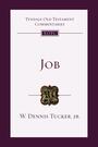 Couverture du livre Job - Tucker Jr. W. Dennis - 9781514015858