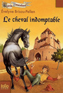 Couverture du livre Garin Trousseboeuf - BRISOU-PELLEN EVELYNE - 9782070624317