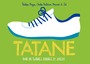 Couverture du livre Tatane : pour un football durable et joyeux - JUL - 9782070659531