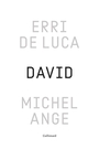 Couverture du livre David, Michel-Ange : enquête sur une disproportion - DE LUCA ERRI - 9782073158291