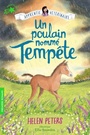 Couverture du livre Apprentie vétérinaire 9 Un poulain nommé Tempête - Peters Helen - 9782075164917