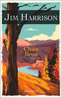 Couverture du livre Chien Brun - HARRISON JIM - 9782080291080