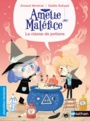 Couverture du livre Amélie Maléfice La classe de potions - Alméras Arnaud & Duhazé Gaëlle - 9782092587447