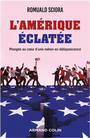 Couverture du livre Amérique éclatée : plongée au coeur d'une nation en déliquescence - SCIORA ROMUALD - 9782200640460