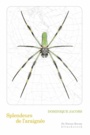Couverture du livre Splendeurs de l'araignée - Jacobs Dominique - 9782252041468