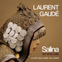 Couverture du livre Salina - Gaudé Laurent - 9782330126490