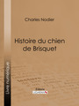 Couverture du livre Histoire du chien de Brisquet - NODIER CHARLES - 9782335016871