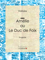 Couverture du livre Amélie ou le Duc de Foix - Moland Louis - 9782335056037