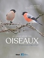 Couverture du livre Grand atlas des oiseaux (Le) - COLLECTIF - 9782344050415