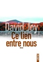 Couverture du livre Ce lien entre nous - Joy David - 9782355847295