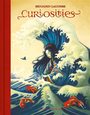 Couverture du livre Curiosities : une monographie, 2003-2023 = Curiosities : a... - LACOMBE BENJAMIN - 9782356742247