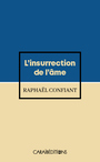 Couverture du livre Insurrection de l'âme Frantz Fanon, vie et mort du guerrier-silex - Confiant Raphaël - 9782373110807