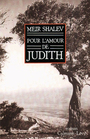 Couverture du livre Pour l'amour de judith - SHALEV MEIR - 9782702126240