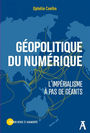 Couverture du livre Géopolitique du numérique : l'impérialisme à pas de géants - Coelho Ophélie - 9782708295384