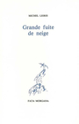 Couverture du livre Grande fuite de neige - LEIRIS MICHEL - 9782851940544