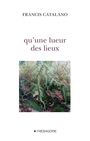 Couverture du livre qu'une lueur des lieux - CATALANO FRANCIS - 9782890068735
