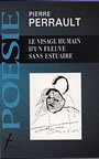 Couverture du livre Le visage humain d'un fleuve sans estuaire - PERRAULT PIERRE - 9782890465077