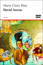 Couverture du livre David sterne - BLAIS MARIE-CLAIRE - 9782890529748