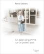 Couverture du livre Un pépin de pomme sur un poêle à bois - DESBIENS PATRICE - 9782894233412