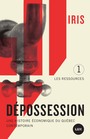 Couverture du livre Dépossession : une histoire économique du Québec contemporain - Institut de recherche et - 9782895961871