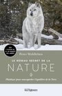 Couverture du livre Réseau secret de la nature (Le): plaidoyer pour sauvegarder l' - Wohlleben Peter - 9782897731311