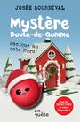 Couverture du livre Panique au pôle Nord ! - Bournival Josée - 9782898402333