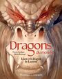 Couverture du livre Liam et le dragon de Lucerne - LATULIPPE MARTINE - 9782898500008
