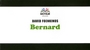 Couverture du livre Bernard - FOENKINOS DAVID - 9782918602019