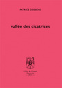 Couverture du livre Vallée des cicatrices - DESBIENS PATRICE - 9782922399967