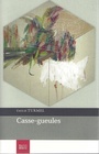 Couverture du livre Casse-gueules - Turmel Émilie - 9782924671177