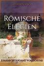 Couverture du livre Römische Elegien - GOETHE JOHANN WOLFGANG VON - 9783693552339