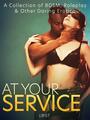 Couverture du livre At Your Service: A Collection of BDSM, Roleplay & Other Daring Erotica - L. Sara Agnès - 9788728350355