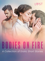 Couverture du livre Bodies on Fire: A Collection of Erotic Short Stories - L. Sara Agnès - 9788728384770