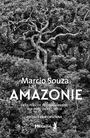 Couverture du livre Amazonie Histoire de la période précolombienne aux défis du XXIe - SOUZA MARCIO - 9791022614030