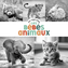 Couverture du livre Bébés animaux (Les) - Studio Perillou - 9782203303317
