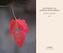 Couverture du livre Automne au jardin Kingsbrae - Jomphe Marcel - 9782982352230