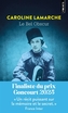 Couverture du livre Bel obscur (Le) - LAMARCHE CAROLINE - 9791041427079